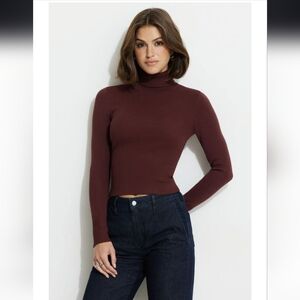 Dynamite Maroon Turtleneck Sweater